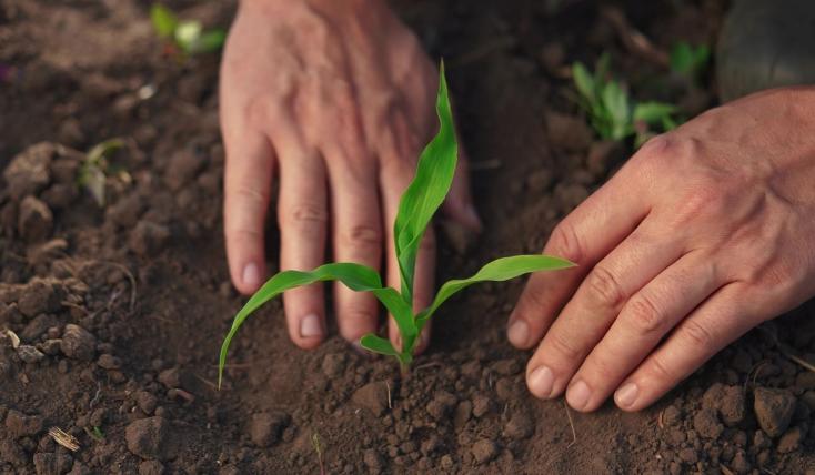 Λιπάσματα: Ενίσχυση 15% αλλά με ρίσκο - Παραδείγματα επιδότησης