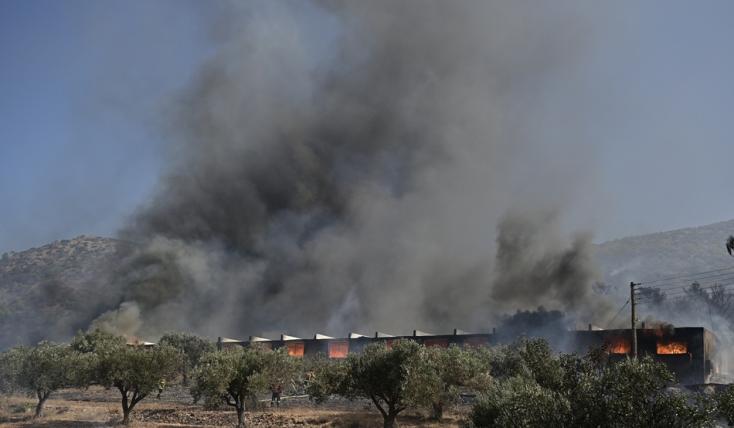 Πυρκαγιά στον Κουβαρά Αττικής - Ενισχύονται οι δυνάμεις, εκκενώθηκε η περιοχή Αγ. Στυλιανού