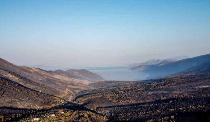 Δυτική Αττική: Τι θα γίνει με τα 113.000 καμένα στρέμματα πριν από τις πρώτες βροχές