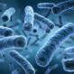 Κλιματική αλλαγή: Συναγερμός από τα CDC για λοιμώξεις από Vibrio vulnificus