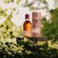 Ένα ποτήρι single malt scotch ουίσκι με αυθεντικότητα