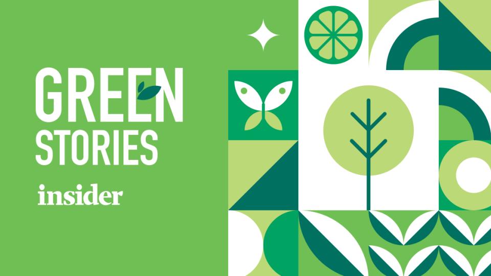 Green Stories 2024