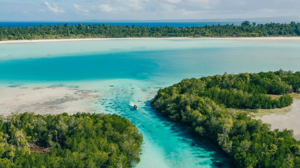 Sotheby's: Ανέβαλε τη δημοπρασία 100 προστατευόμενων νησιών στην Ινδονησία έπειτα από αντιδράσεις περιβαλλοντολόγων