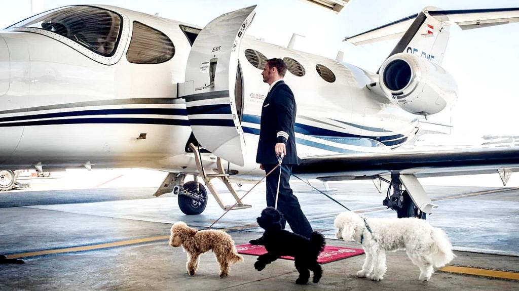 Ετήσιο μισθό 127.000 δολάρια προσφέρει μια οικογένεια δισεκατομμυριούχων για να προσλάβει νταντά σκύλων