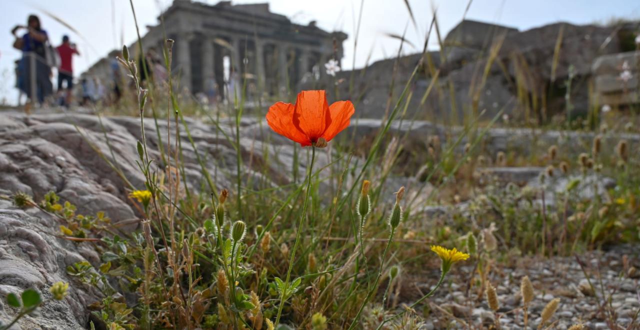 Η Αθήνα στις 100 καλύτερες πόλεις του κόσμου: Η θέση της - Όλη η λίστα