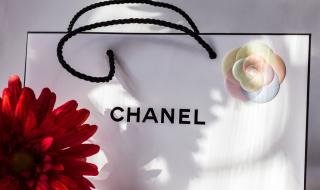 Η Chanel «χρυσώνει» τους ιδιοκτήτες της - Ποια είναι τα αδέρφια Βερτχάιμερ