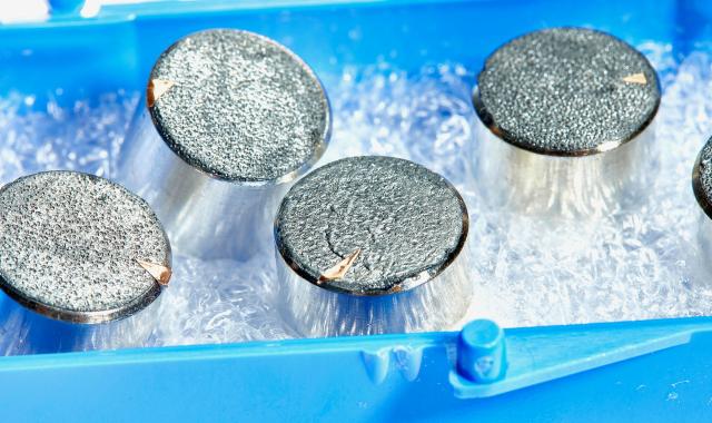 Με 1,2 εκατ. δολ. θα λουστείτε φεγγαρόσκονη που μάζεψε ο Νιλ Άρμστρονγκ