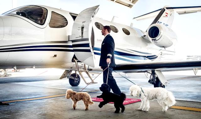 Oικογένεια δισεκατομμυριούχων πληρώνει 127.000 δολάρια το χρόνο για νταντά σκύλων