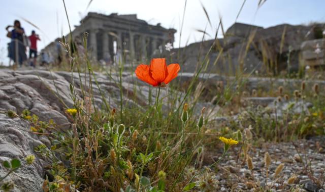 Η Αθήνα στις 100 καλύτερες πόλεις του κόσμου: Η θέση της - Όλη η λίστα